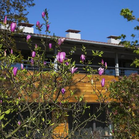 Apartamentos Casona De La Paca Cudillero Extérieur photo