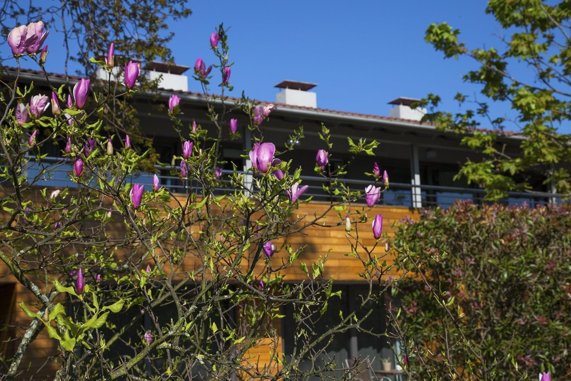 Apartamentos Casona De La Paca Cudillero Extérieur photo